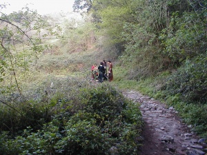 PIC00013.jpg