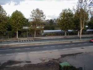 PB050001.JPG