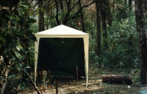Image20.jpg