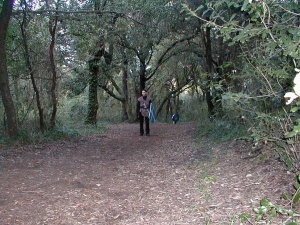 P1140026.JPG