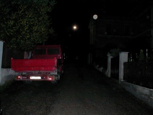 P1010024.JPG