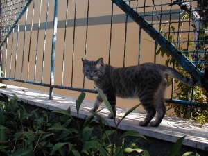 PIC00004.jpg