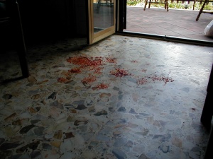 PIC00005.jpg