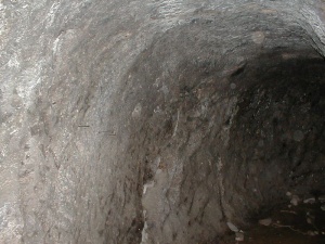 P1010025.JPG