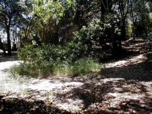 P1010003.JPG
