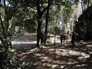 P1010005.JPG