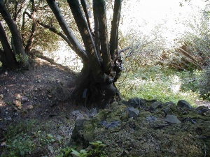 P9290011.JPG