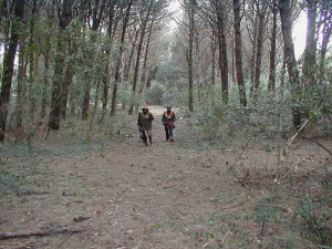 P1010023.JPG
